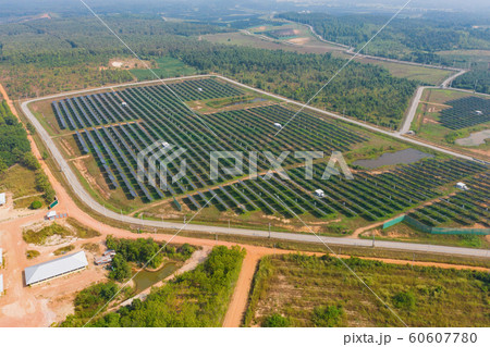 Aerial view of solar panels or solar cells on the 60607780