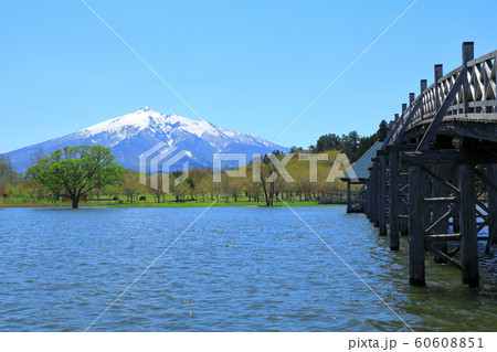 岩木山と鶴の舞橋 60608851