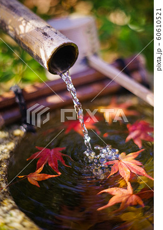 【写真】鹿威しと紅葉 60610521
