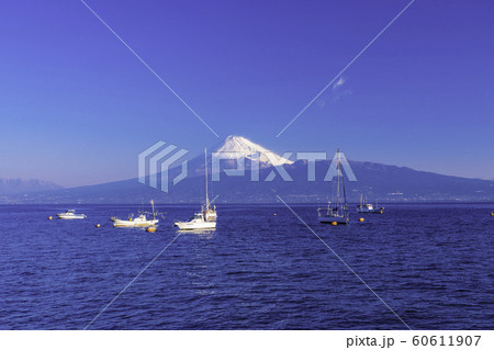 （静岡県）駿河湾に浮かぶヨットと富士山 60611907