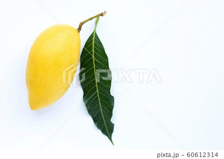 Top view of Mango, Tropical fruit juicy Top view of Mango, Tropical fruit juicy 60612314