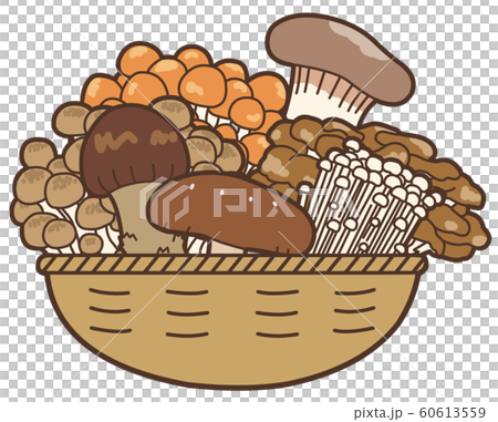 七種蘑菇在籃子裡的插圖 60613559