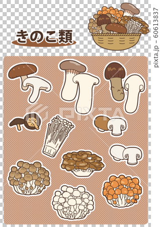 在圖表中總結了 11 種蘑菇的插圖 60613837