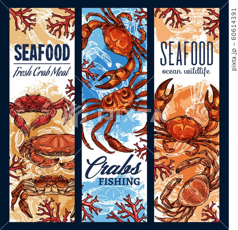 Seafood fishing, ocean fishery food industry Seafood fishing, ocean fishery food industry 60614391