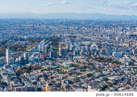 東京シティービュー 渋谷スクランブルスクエアからの眺望 東京シティービュー 渋谷スクランブルスクエアからの眺望 60614888