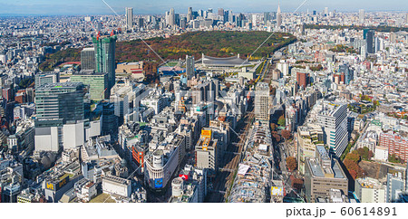 東京シティービュー　渋谷スクランブルスクエアからの眺望 60614891