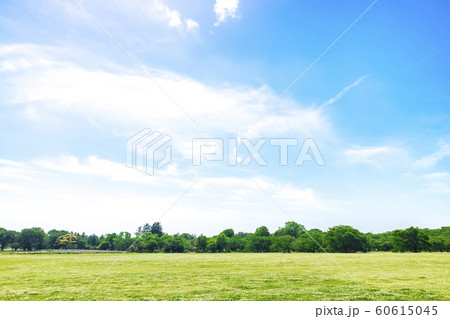 緑と青空の広がる風景 60615045