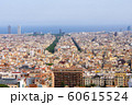 写真素材｜バルセロナ｜街並｜上空から 60615524