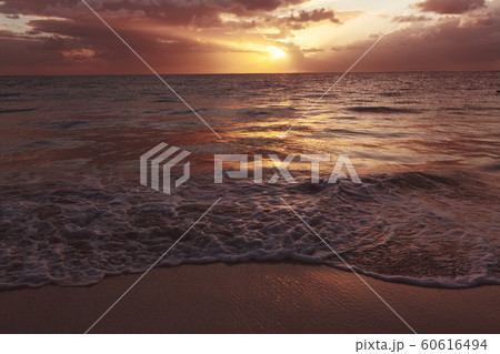 Sea sunset Sea sunset 60616494