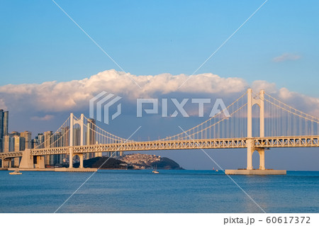 Diamond Bridge(Gwangan Bridge) in Busan,Korea Diamond Bridge(Gwangan Bridge) in Busan,Korea 60617372