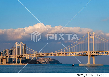 Diamond Bridge(Gwangan Bridge) in Busan,Korea 60617376