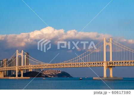 Diamond Bridge(Gwangan Bridge) in Busan,Korea Diamond Bridge(Gwangan Bridge) in Busan,Korea 60617380