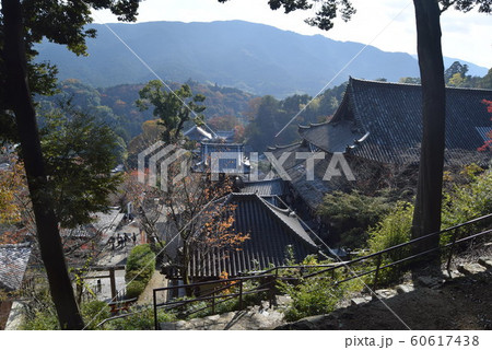 長谷寺 60617438