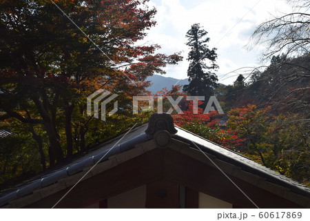 長谷寺 60617869