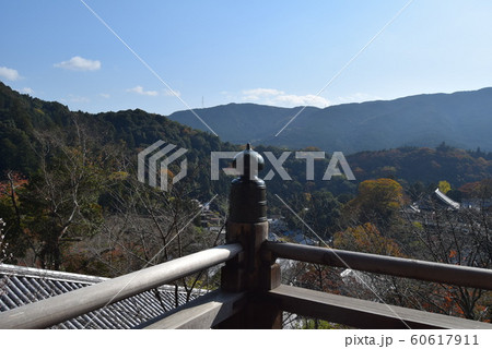 長谷寺 長谷寺 60617911