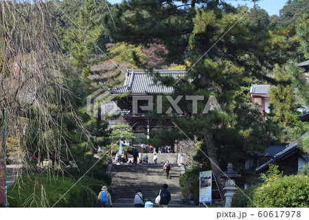 長谷寺 長谷寺 60617978