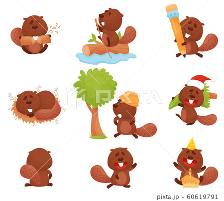 Cute Funny Beaver Character In Different のイラスト素材