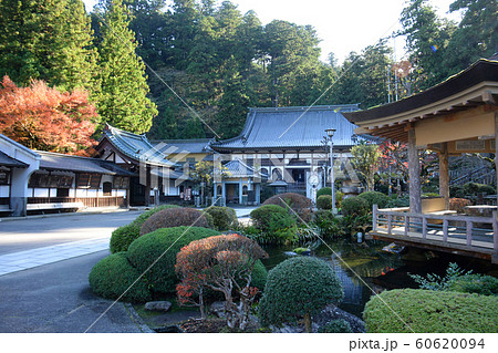 大雄山最乗寺 秋 神奈川県南足柄紙 紅葉 大雄山最乗寺 秋 神奈川県南足柄紙 紅葉 60620094