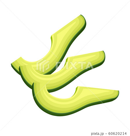 Realistic Fresh Avocado Fruit Isolated on White Background 60620214