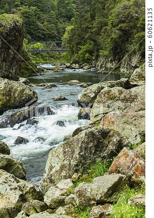 ニュージーランド　カランガハケ渓谷 60621135