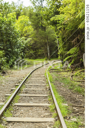 ニュージーランド　カランガハケ渓谷　線路 60621156