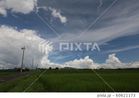夏空 2018 60621173