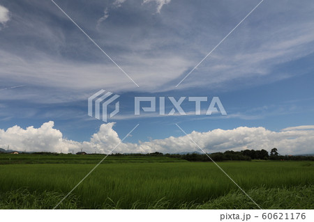 夏空 2018 60621176