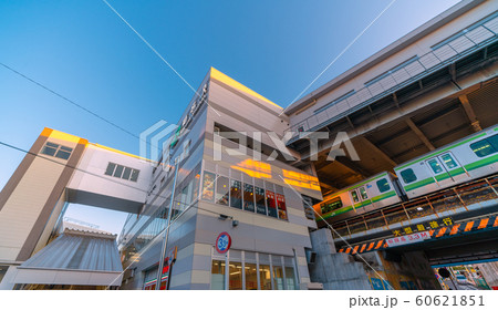 日本の横浜都市景観 菊名駅などを望む 日本の横浜都市景観 菊名駅などを望む 60621851
