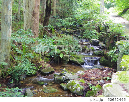 熊野神社の小川 熊野神社の小川 60622446