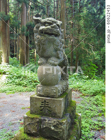 熊野神社の狛犬 熊野神社の狛犬 60622453