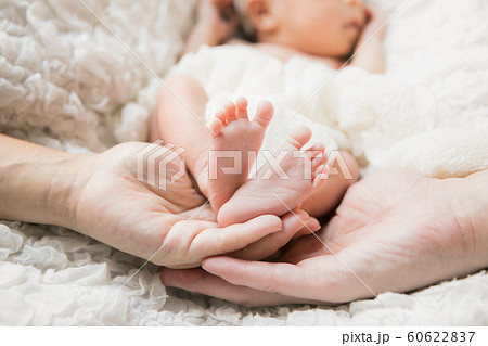 両親の手に包まれた新生児 両親の手に包まれた新生児 60622837