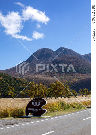 長者原 紅葉とススキ 長者原 紅葉とススキ 60622999