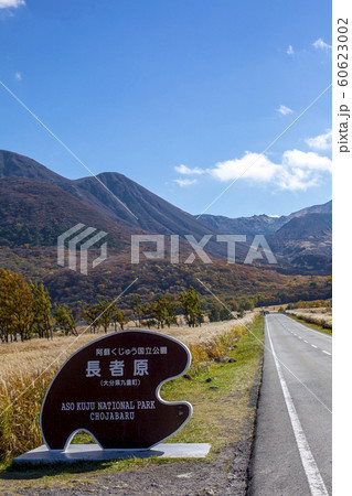 長者原 紅葉とススキ 長者原 紅葉とススキ 60623002