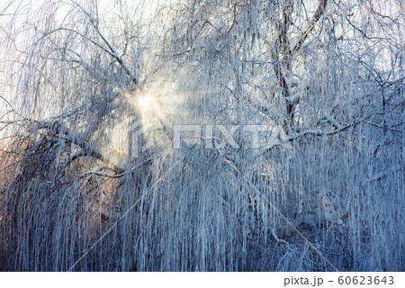 winter park in snow 60623643