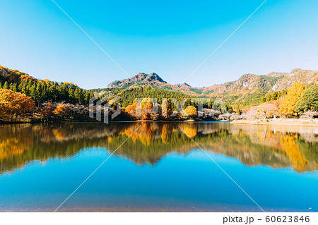 宇都宮森林公園 紅葉 宇都宮森林公園 紅葉 60623846