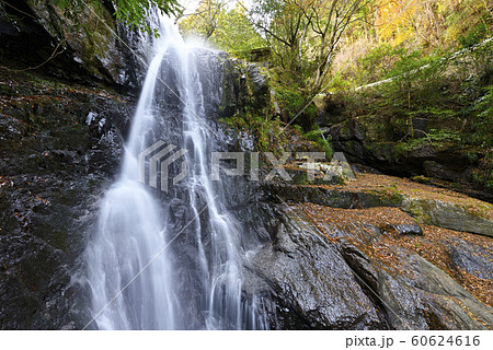 滝畑四十八滝　後光滝（大阪府河内長野市滝畑） 60624616