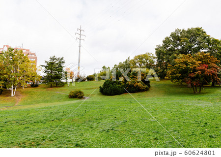 【北海道】平岸高台公園　夏 60624801