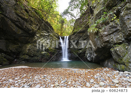 滝畑四十八滝 光滝(大阪府河内長野市滝畑) 滝畑四十八滝 光滝(大阪府河内長野市滝畑) 60624873