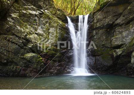滝畑四十八滝　光滝（大阪府河内長野市滝畑） 60624893