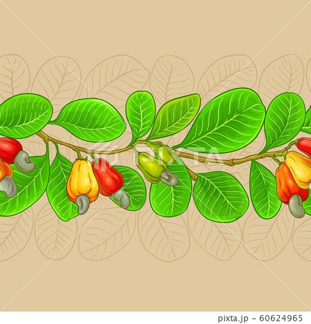 cashew vector pattern cashew vector pattern 60624965