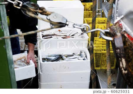 fisherman stacking boxes on board fisherman stacking boxes on board 60625031