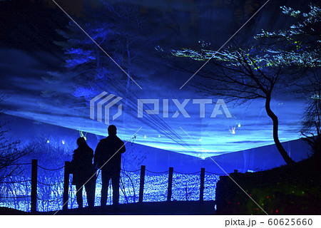 京都イルミネーション　シナスタジアヒルズ（京都府南丹市） 60625660