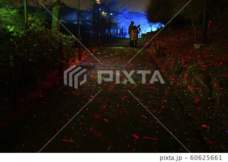 京都イルミネーション　シナスタジアヒルズ（京都府南丹市） 60625661