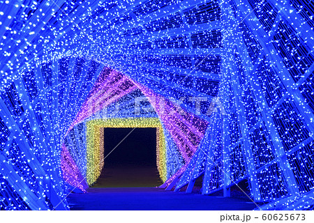 京都イルミネーション　シナスタジアヒルズ（京都府南丹市） 60625673