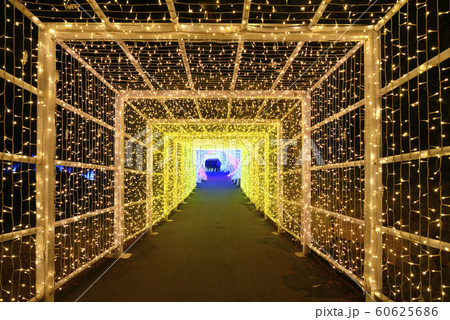 京都イルミネーション　シナスタジアヒルズ（京都府南丹市） 60625686