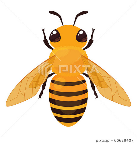 ミツバチのイラスト 上のイラスト素材