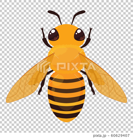 ミツバチのイラスト 上のイラスト素材