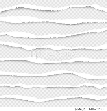 Ripped paper. Cut edges of white paper vector ripped lines realistic texture collection 60629429