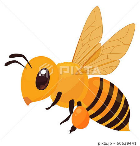 Illustration of bees - Stock Illustration [60629441] - PIXTA