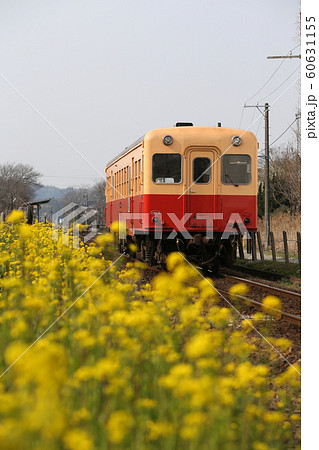 小湊鉄道 小湊鉄道 60631155